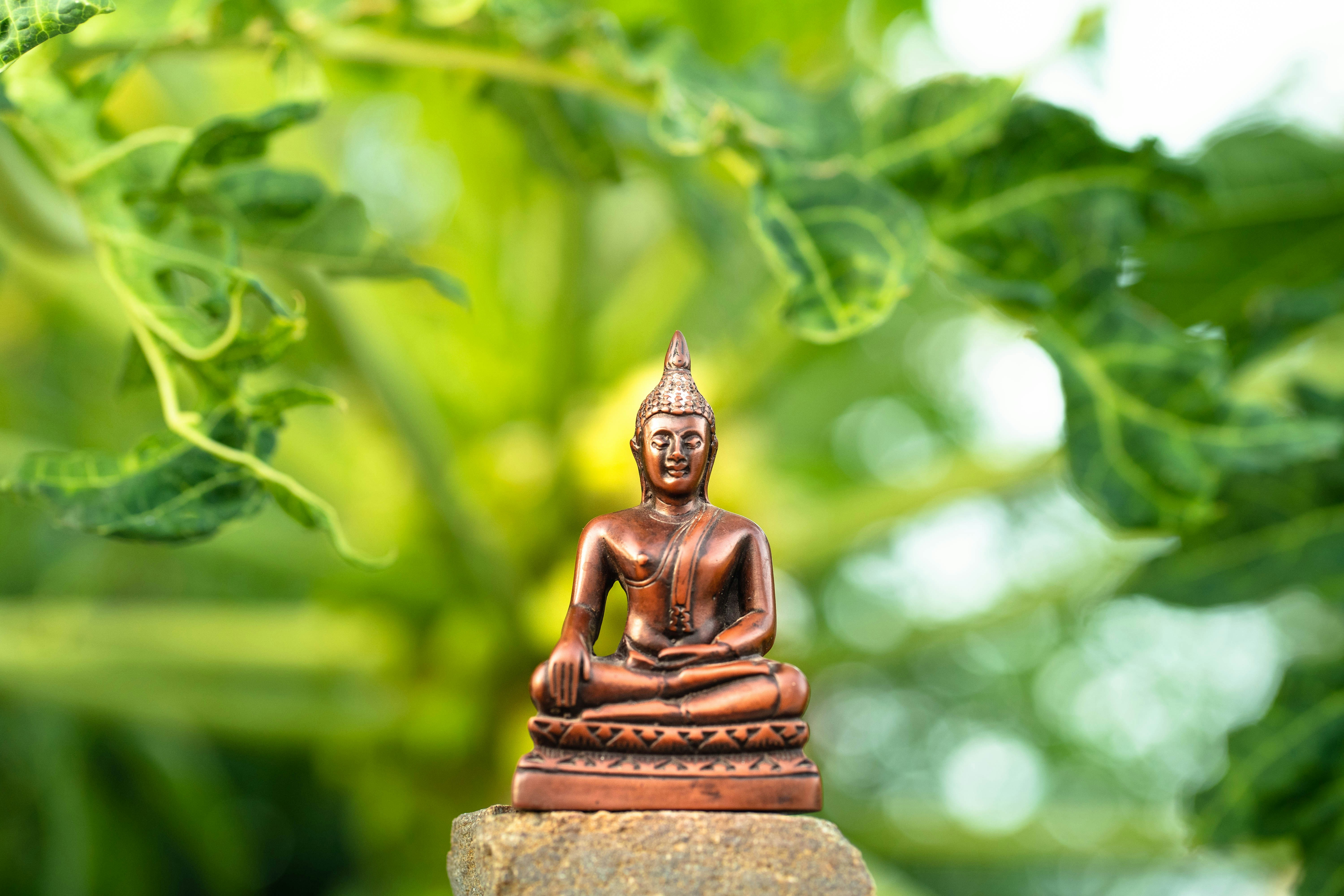 Statua di Buddha su sfondo verde sfocato